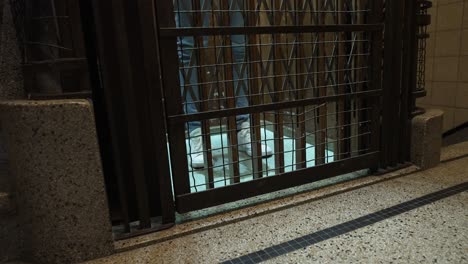 close up of female feet in sneakers entering the old antique elevator and going up