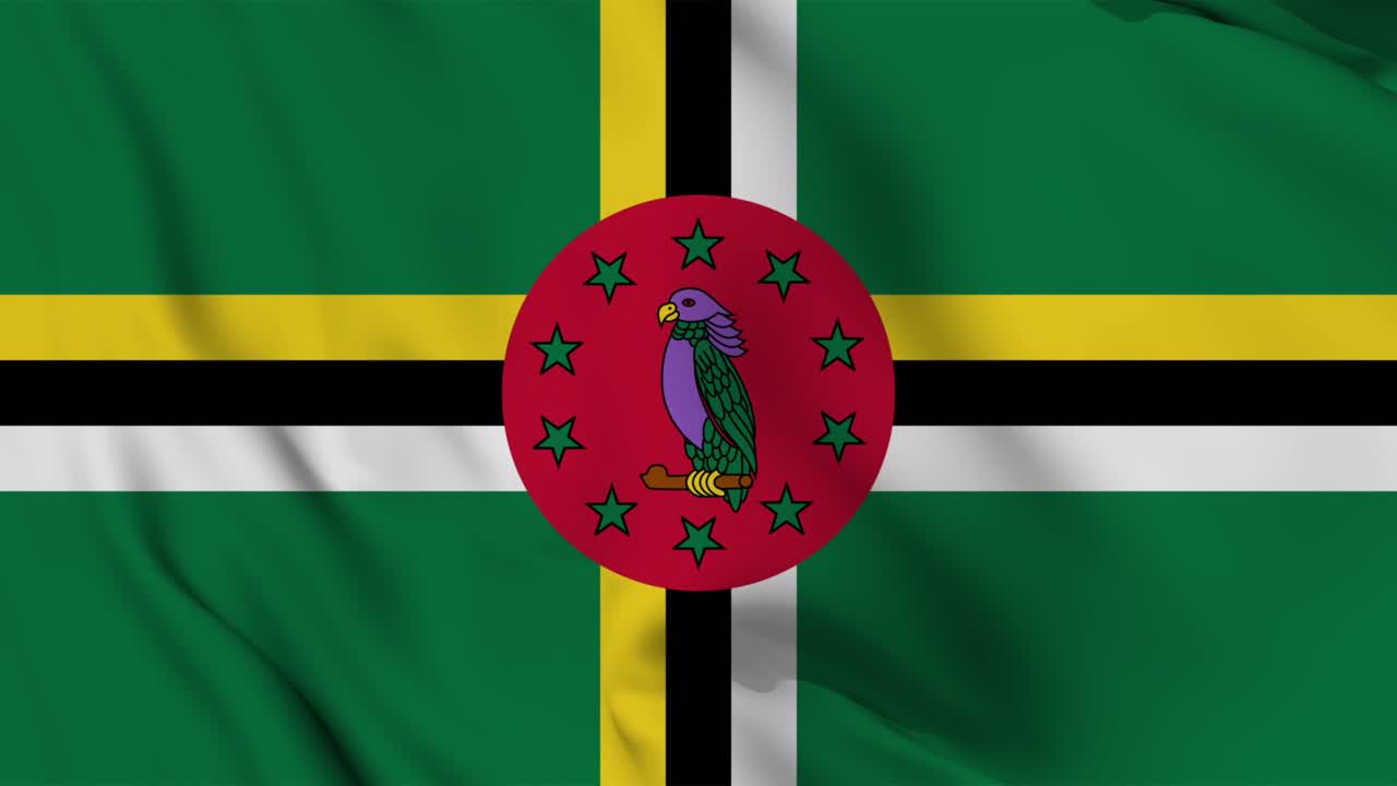 도미니카의 발을 흔들고 있는 애니메이션