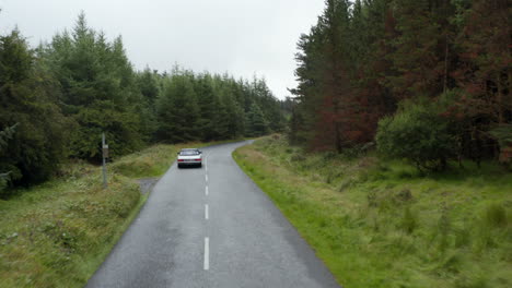 Slowly-moving-vintage-sports-car-on-road-in-forest.-High-grass-and-trees-along-road.-Overcast-sky.-Ireland