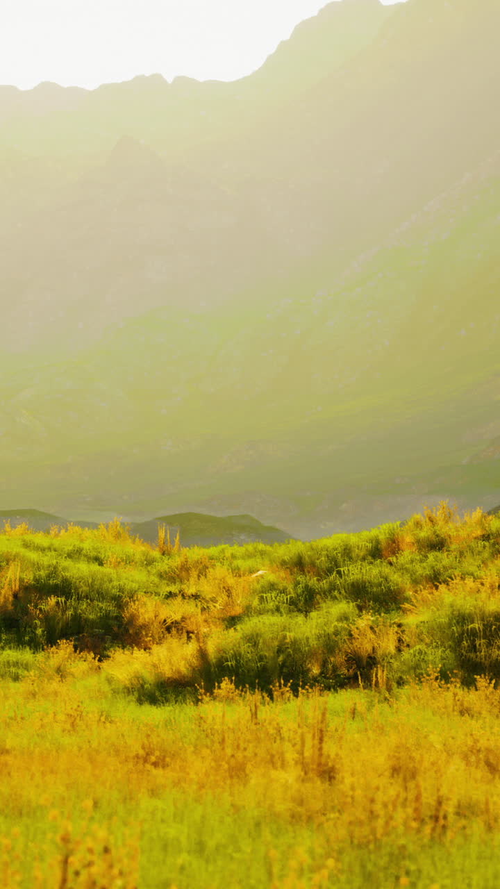 바위 지형과 식물이 거의 없는 산악 사막 풍경