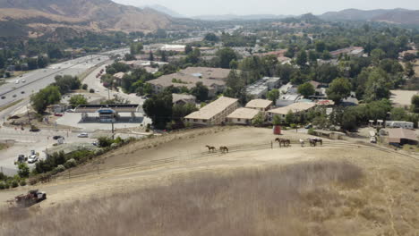 aerial view of trail horses in agoura california with the 101 freeway in the background