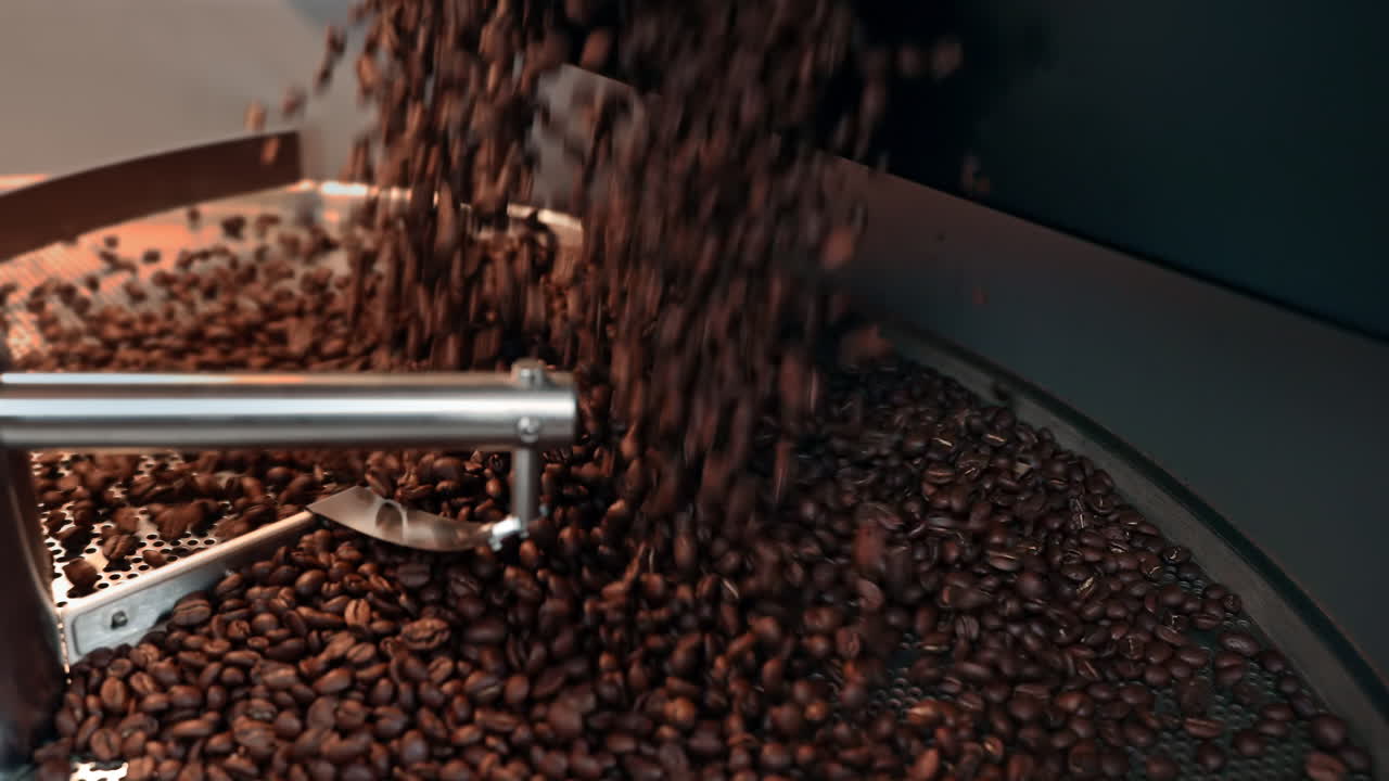 verter granos de café en una máquina tostadora industrial para tostar y revolver