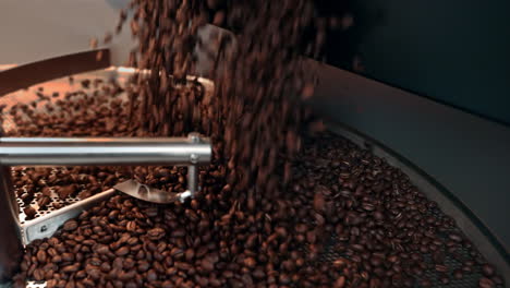 pouring coffee beans into industrial roaster machine for roasting and stirring