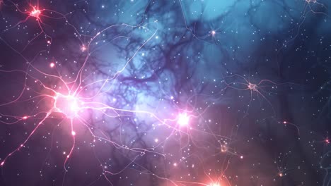 detailed view of neural network activity