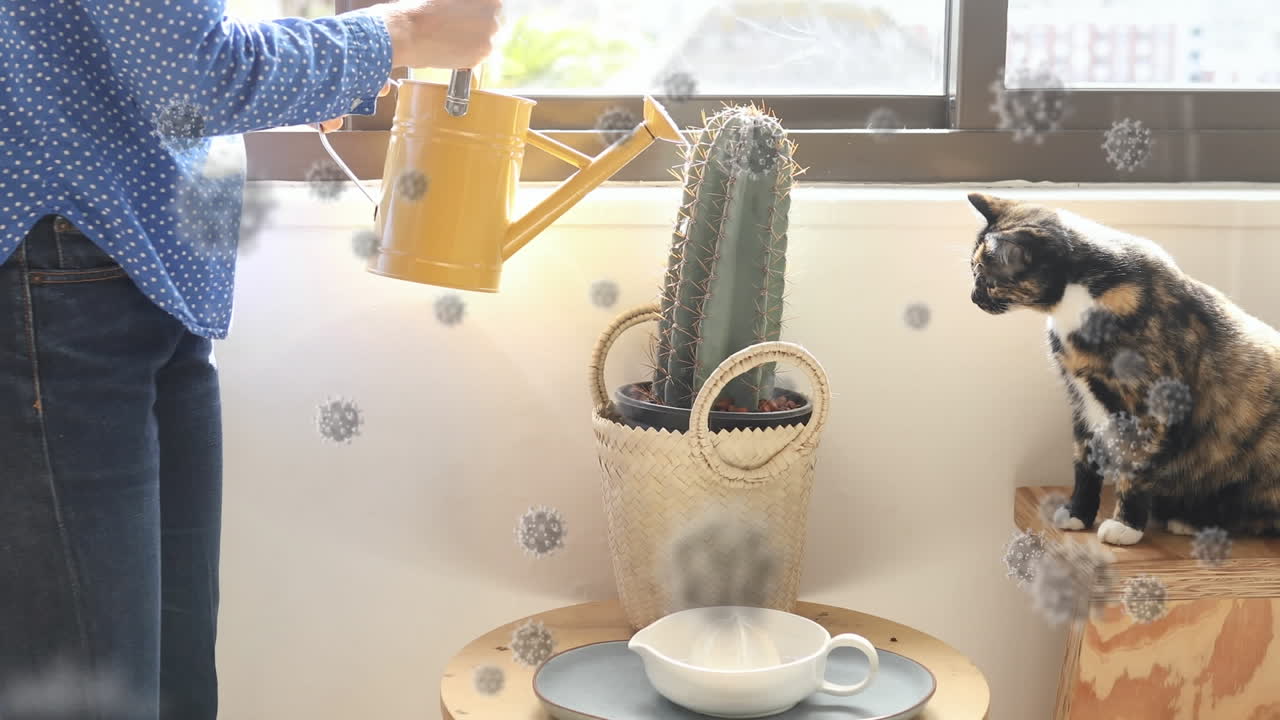 사람이 물을 주는 식물 위에 코로나 19 세포의 애니메이션