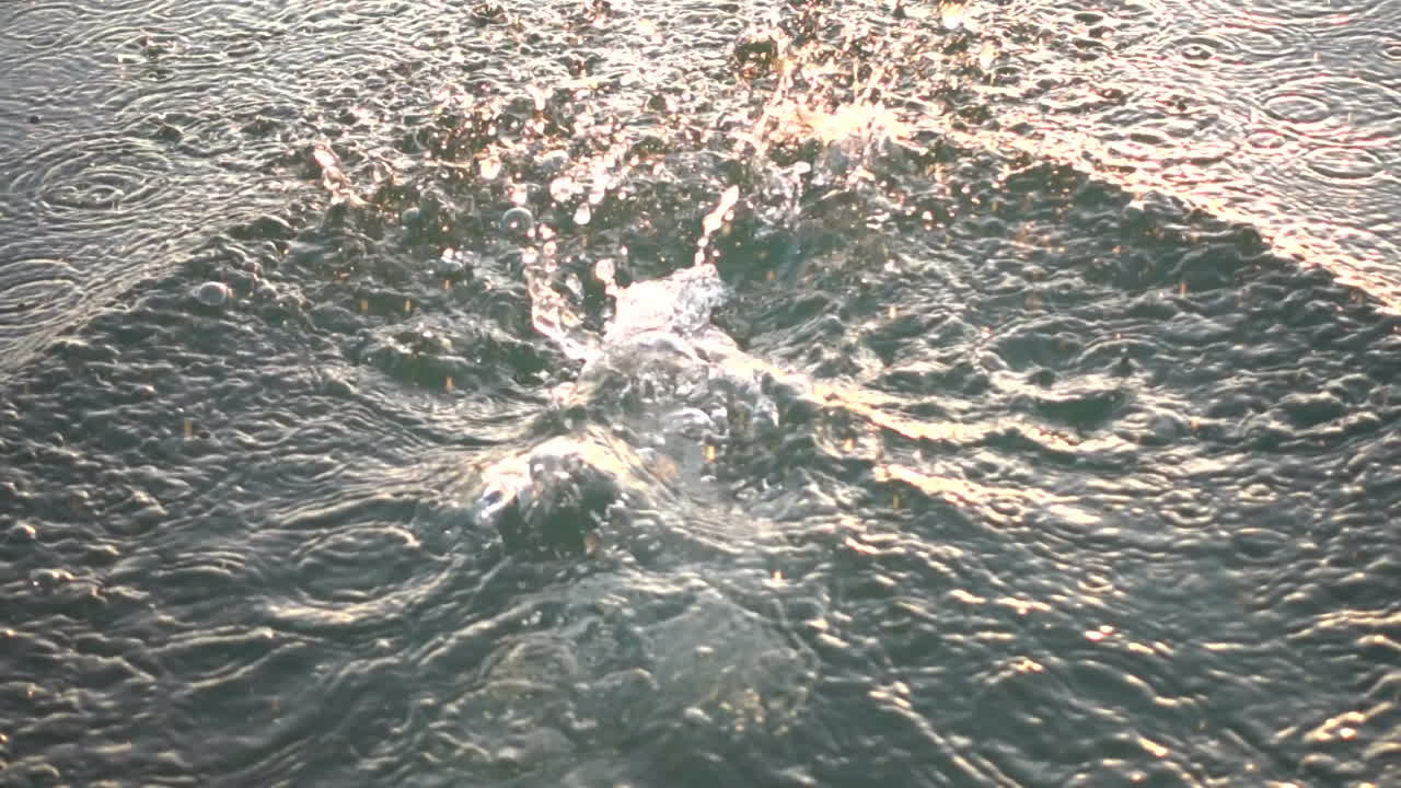 The stone falls in water. Slow Motion