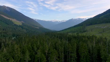 evergreen trees and mountains along highway 99 route in pemberton, vancouver, bc canada