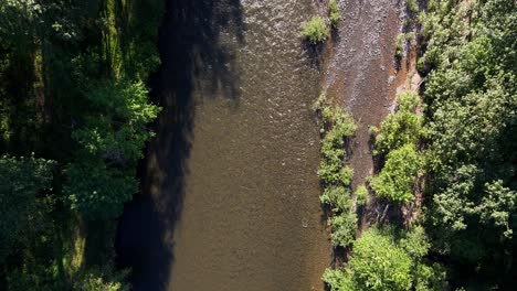 Scenic-Bird's-eye-view-of-flowing-Tolt-River-and-forest-treetops-in-Washington-State