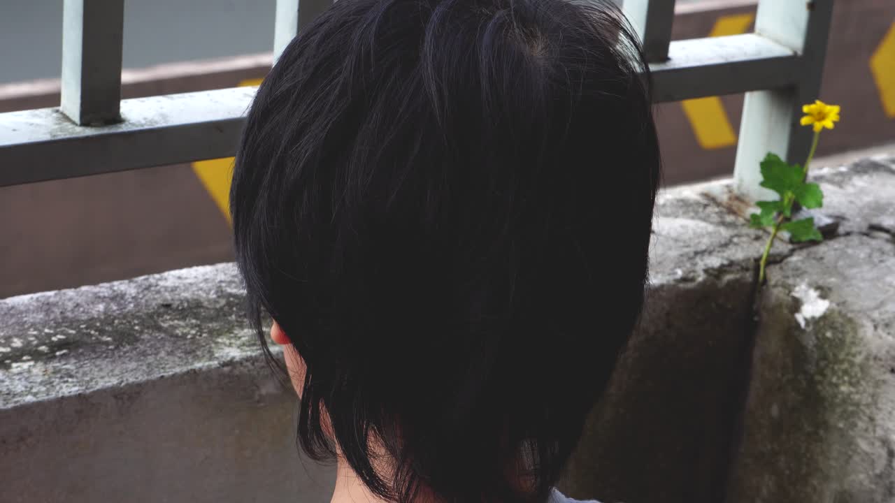 그루지와 얼룩 사이에서 그 옆에 튀어나온 콘크리트의 균열에서 녹색과 노란색 꽃 한 송이가 자라는 동안 야외에서 혼자 난간을 들여다보는 소년