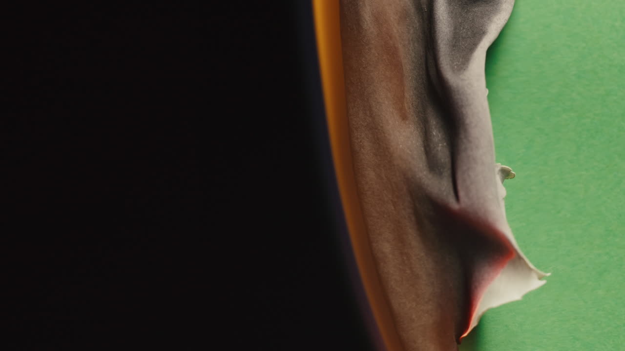 Burnt Plant Leaf on Green Background