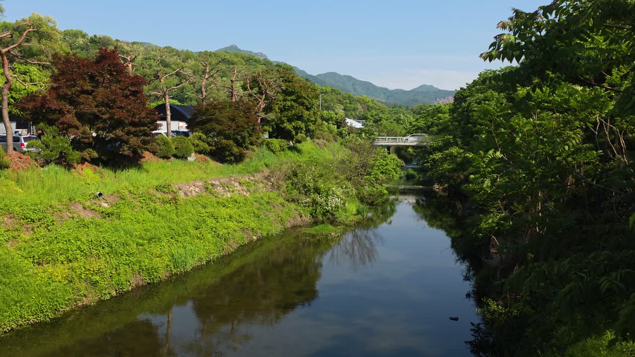 A scenic view of the tranquil Yangjae Stream in Gwacheon, South Korea, with lush green trees and hills reflecting in the calm water under a clear blue sky on a beautiful summer day.