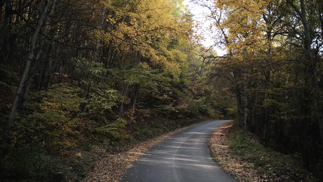 una strada attraverso la foresta d'autunno