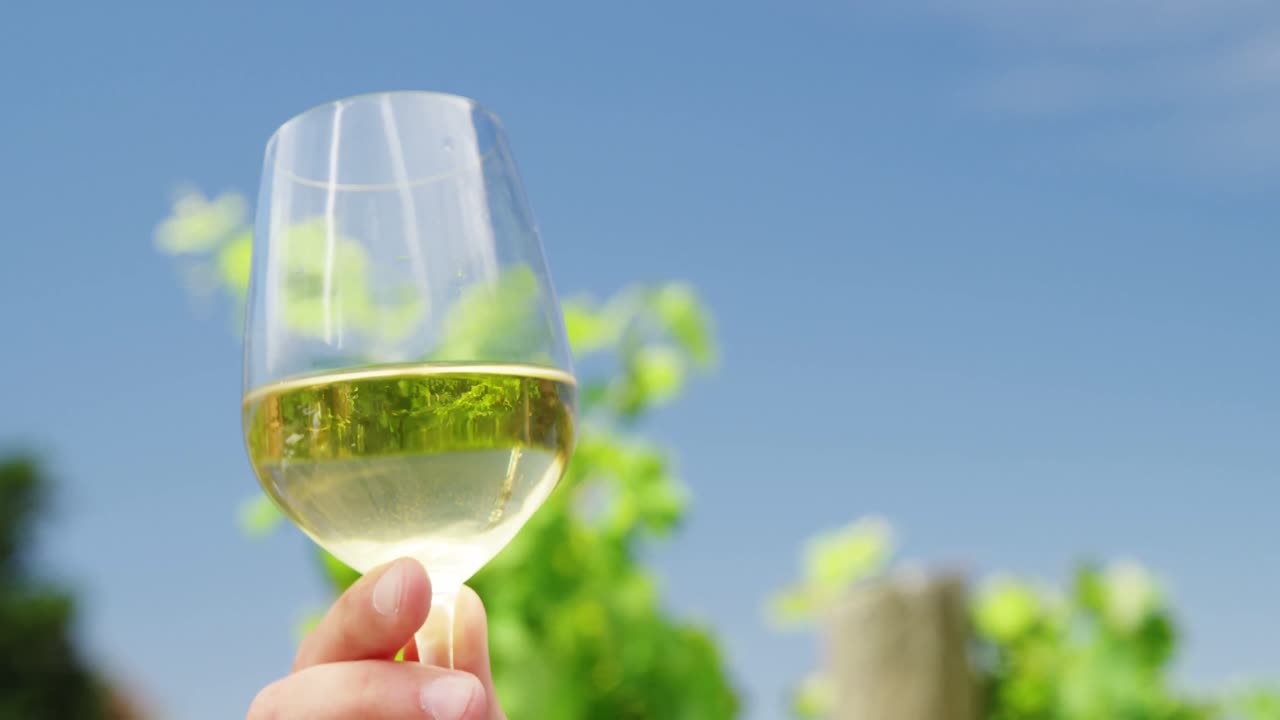 mujer con la mano sujetando un vaso de vino en el viñedo