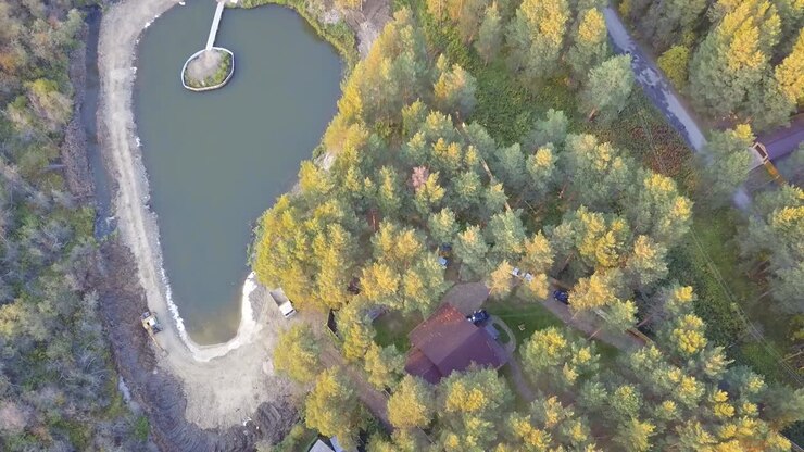 воздушный вид пруда и домов в лесу