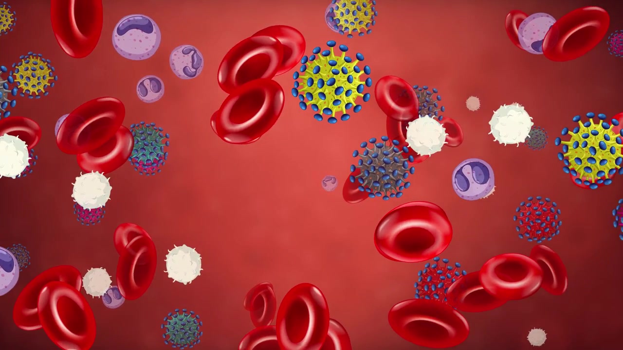 Red and white blood cells drift alongside colorful virus particles in a seamless medical loop.