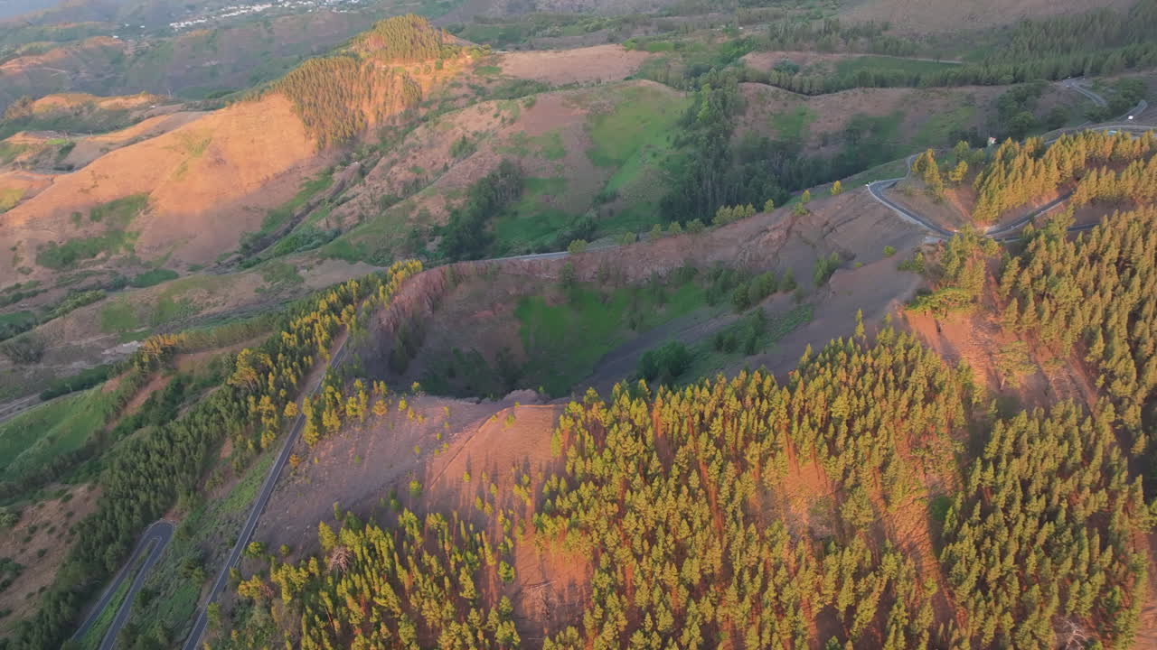 Warm sunlight illuminates the Caldera de Los Pinos de Galdar and its surrounding pine trees in Gran Canaria