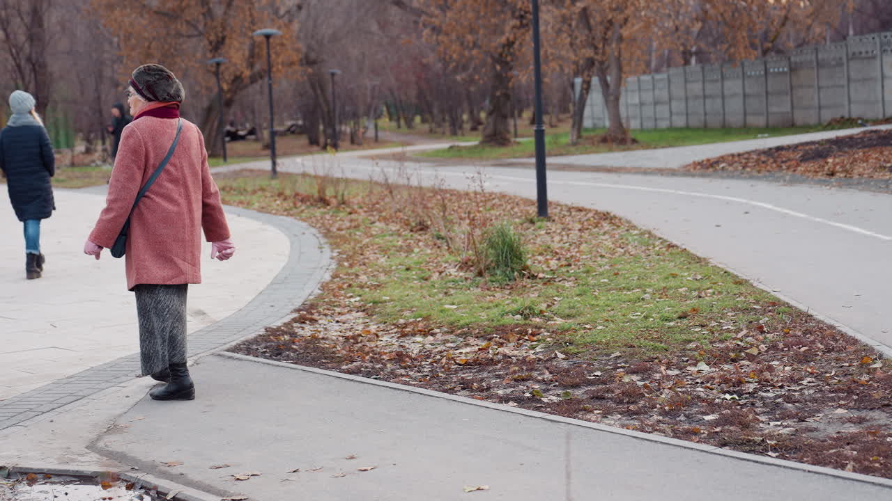 Older woman in pink coat walks along park path lined with trees and fallen leaves, carrying purse through urban park in autumn, past lamp posts and leafless bushes under gray sky