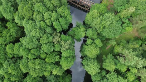 fly above the serene forest landscape and behold the aged remains of a railway bridge, its weathered structure casting a nostalgic charm over the tranquil river below