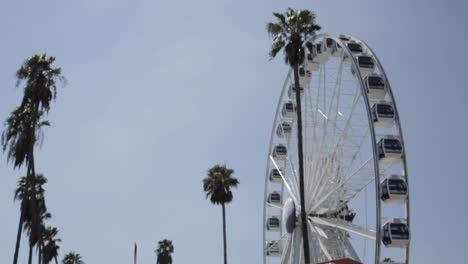 empty ferris wheel at fair spins in slow motion, blue sky and palm trees, low angle