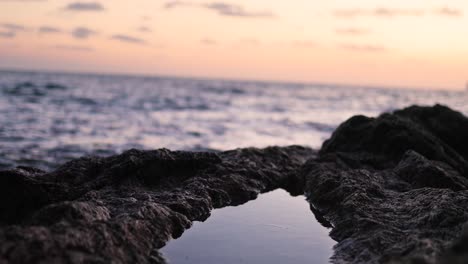 sea view on top of shore beach rock during sunset time at alghero, sardinia