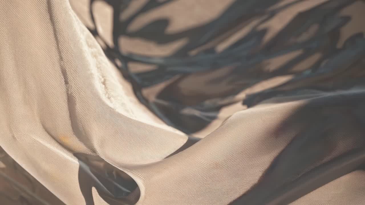 Ombre di piante in movimento su tessuto texturizzato