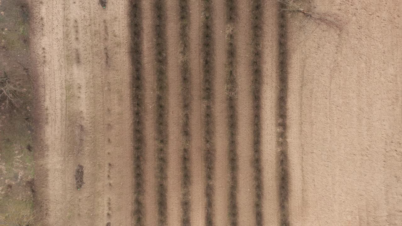 공중: 농작물 재배 및 가축 사육으로 경작할 준비가 된 농업 현장 토양