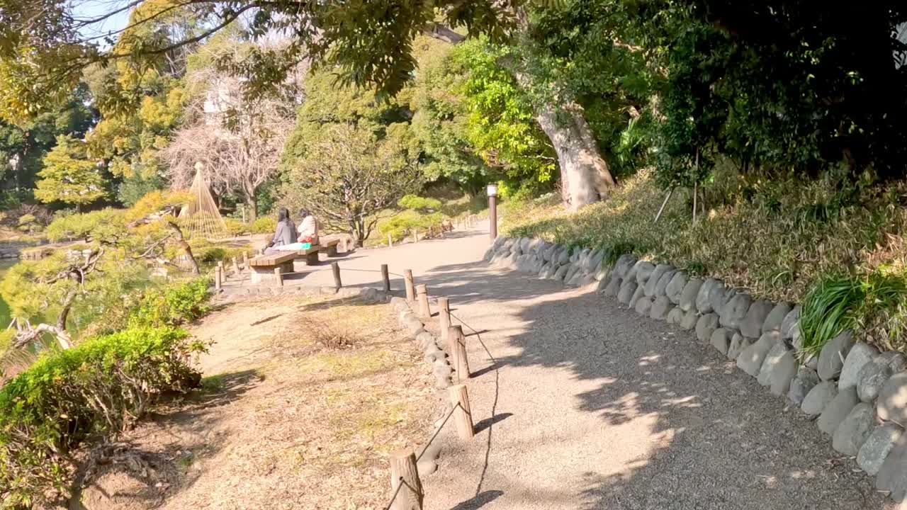 A peaceful walk along a park's pathway