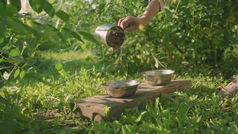 partial view of person pouring dog feed into metal bowl outdoors as some spill onto grass while insect flies out of cup, another empty metal bowl on plank, surrounded by lush greenery