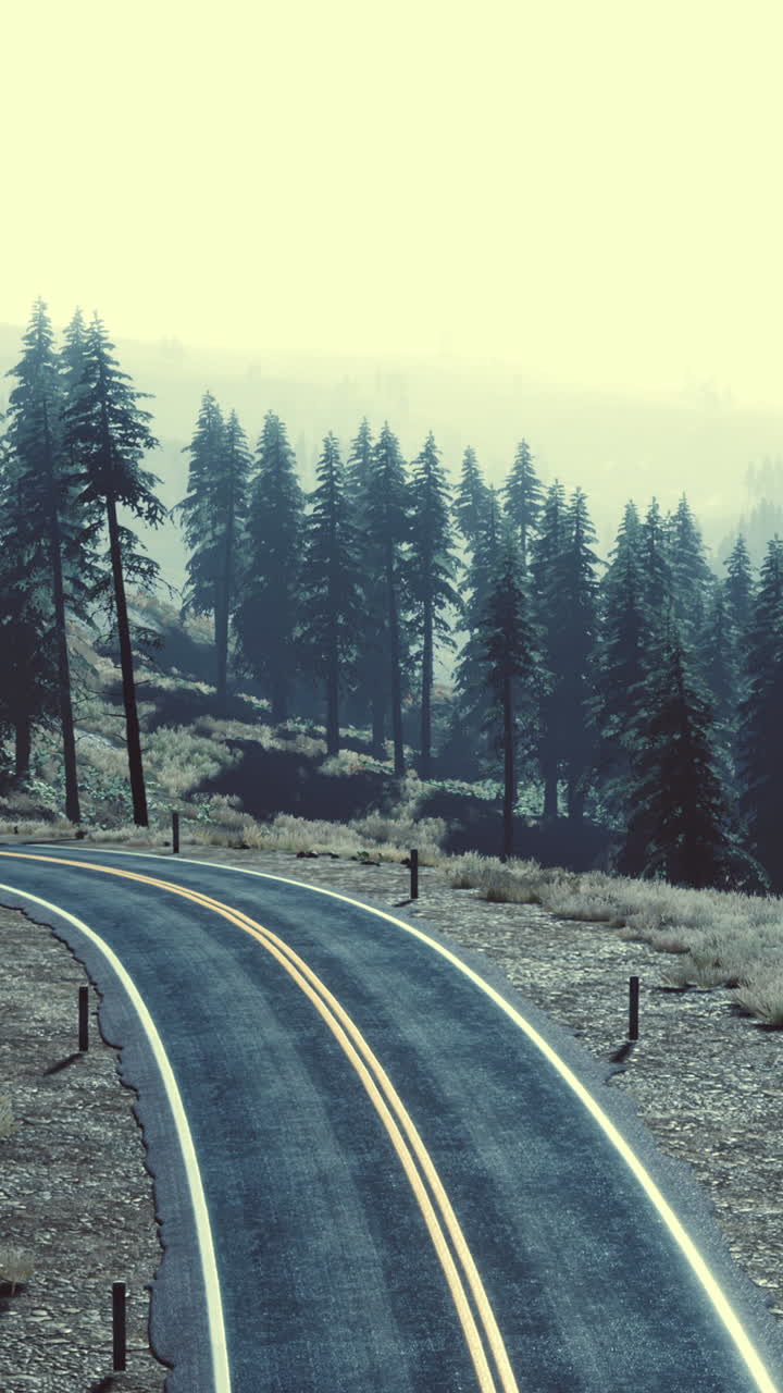 안개 숲 을 가로지르는 경치 좋은 길