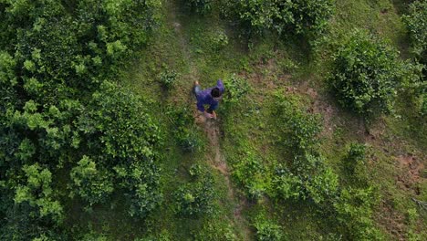 imágenes aéreas de un hombre caminando por el pintoresco paisaje de khadimnagar