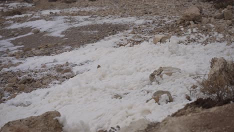 white sea foam on the rocky shores of europe, also known as the cappuccino effect