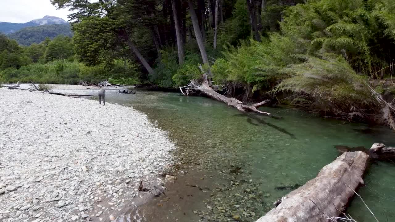 woman walking by stunning river in the forest of patagonia argentina