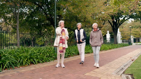 senior friends, walking and talking together