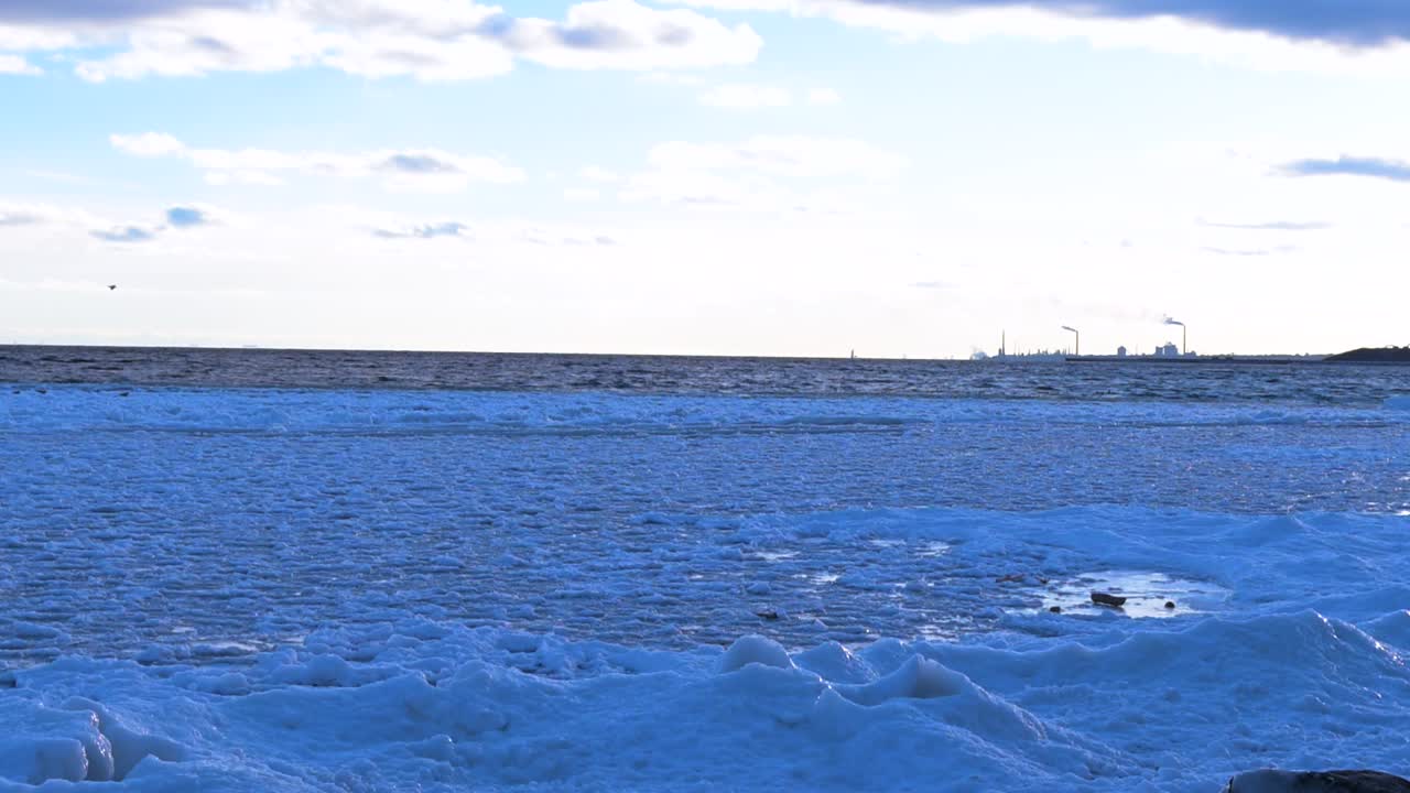 A tranquil sunset at Toronto’s waterfront near Mimico and Lake Shore. High-rise buildings glow in the golden light as ducks swim peacefully in the calm water, creating a serene urban scene.