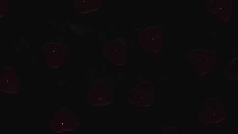 ⁇ 만적 인 빛나는 심장 모양의 빨간  ⁇ 불이 검은 바탕에 회전하는 오버헤드  ⁇ 이 꺼지고 있습니다.