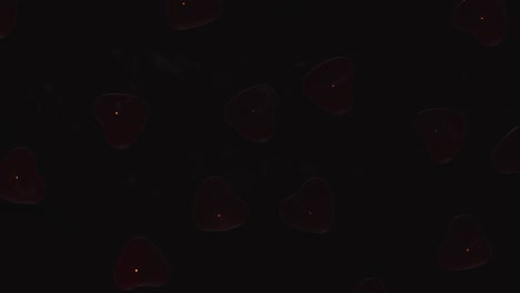 overhead shot of romantic lit heart shaped red candles revolving on black background being blown out