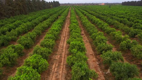 mundo de la vida campesina a través de impresionantes imágenes de drones de viaje, capturando la belleza rústica de los paisajes rurales, las culturas tradicionales