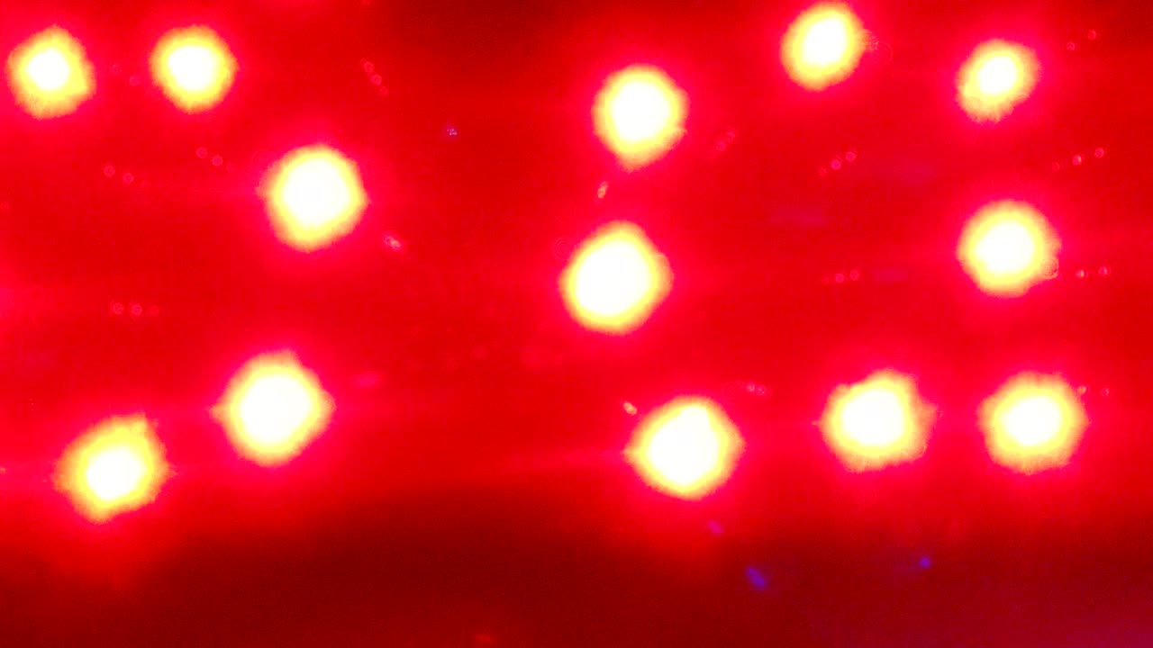 guirnaldas de navidad