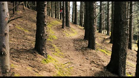 Mountain-biker-riding-bicycle-in-forest