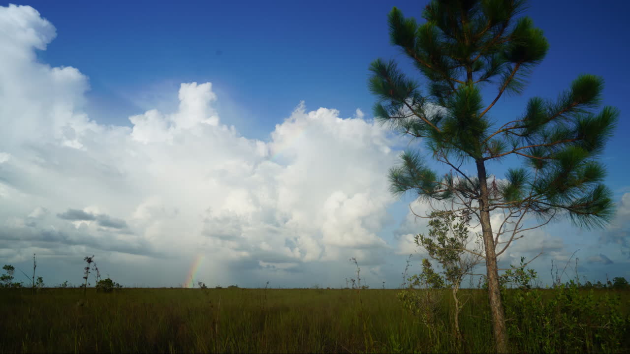 временная задержка облаков над эверглейдс 3
