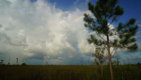 time lapse of clouds over the everglades 3