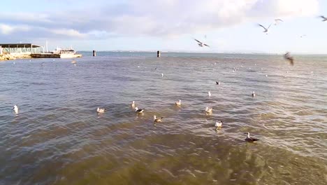 tagus river in lisbon, portugal