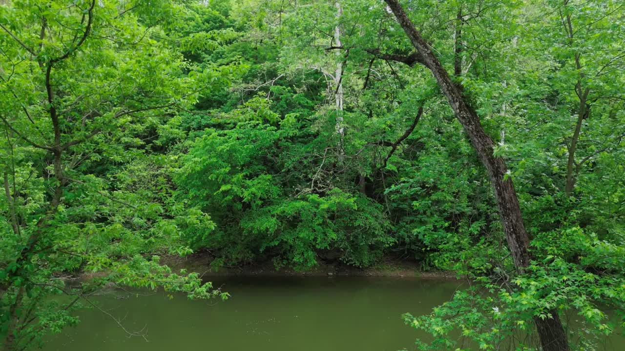 드론은 미국 인디애나의 울창한 숲을 통해 앞으로 날아갑니다.