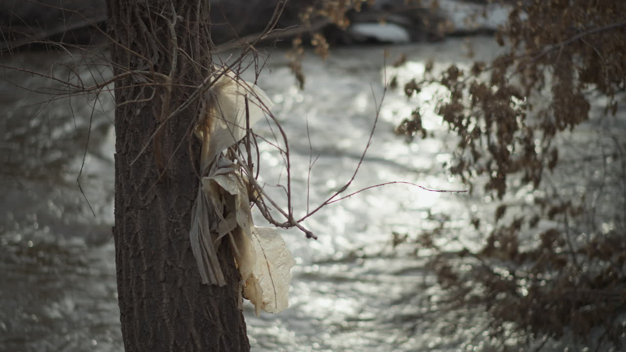 Plastic waste caught on tree branches near flowing river in winter landscape, with snow patches and dry foliage visible, symbolizing environmental pollution and human impact on natural ecosystems in cold
