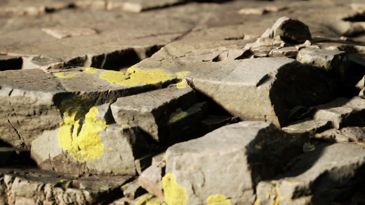 바위 돌 형성이 가까이 있습니다.