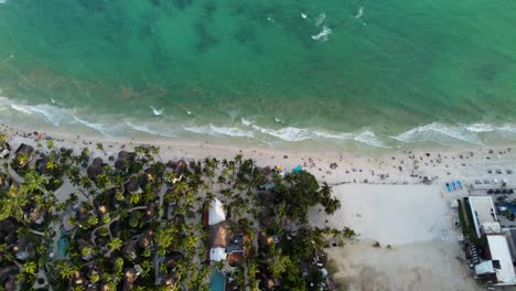 fotografía cenital de palmeras en la playa de arena de playa del carmen, méxico