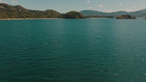 Seabirds-Flying-Over-Turquoise-Ocean-In-Costa-Rica---aerial-drone-shot