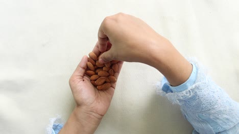 vista superior de las mujeres recogiendo nueces de almendra a mano ,