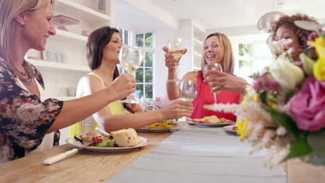 female friends around table at dinner party shot on r3d