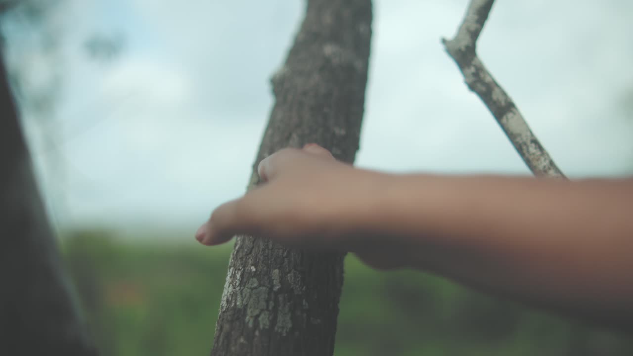 Slow-motion close-up of a hand reaching out to gently touch the textured bark of a tree branch, evoking a quiet moment of connection with nature in a soft, blurred landscape under calm daylight